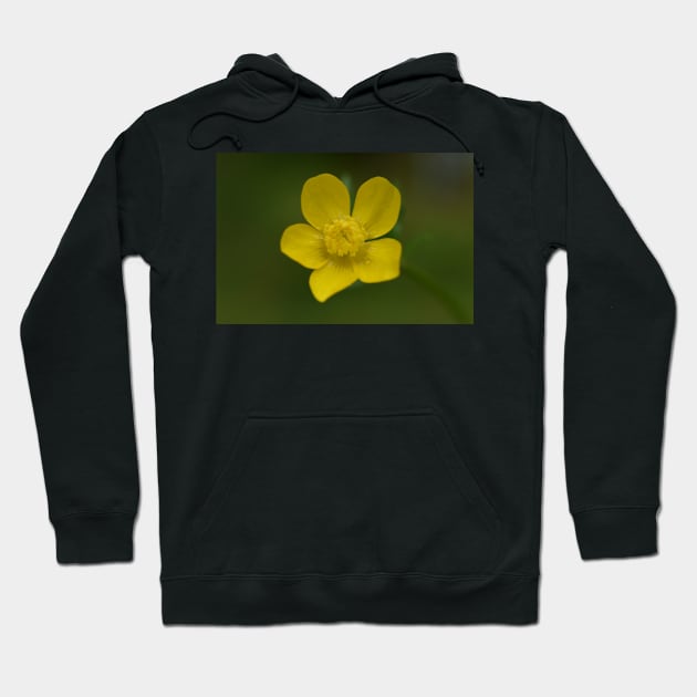 Yellow flower with rain drop Hoodie by ToniaDelozier